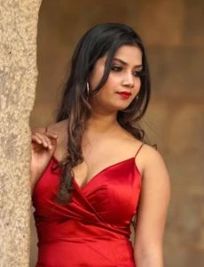 call girl service in Naidupet